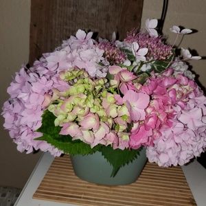 Meet your Posher, Lindz